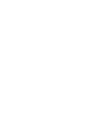 gailforce logo